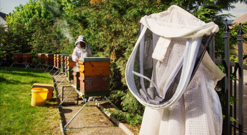 Nachhaltiges Projekt für Bienenschutz und Umwelt